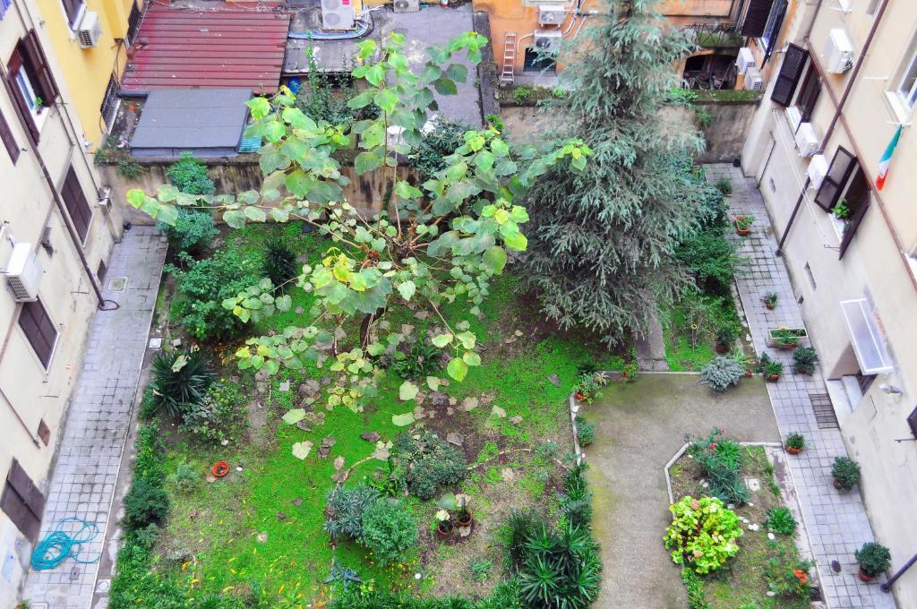 Blue Rain Guest House Rzym Zewnętrze zdjęcie
